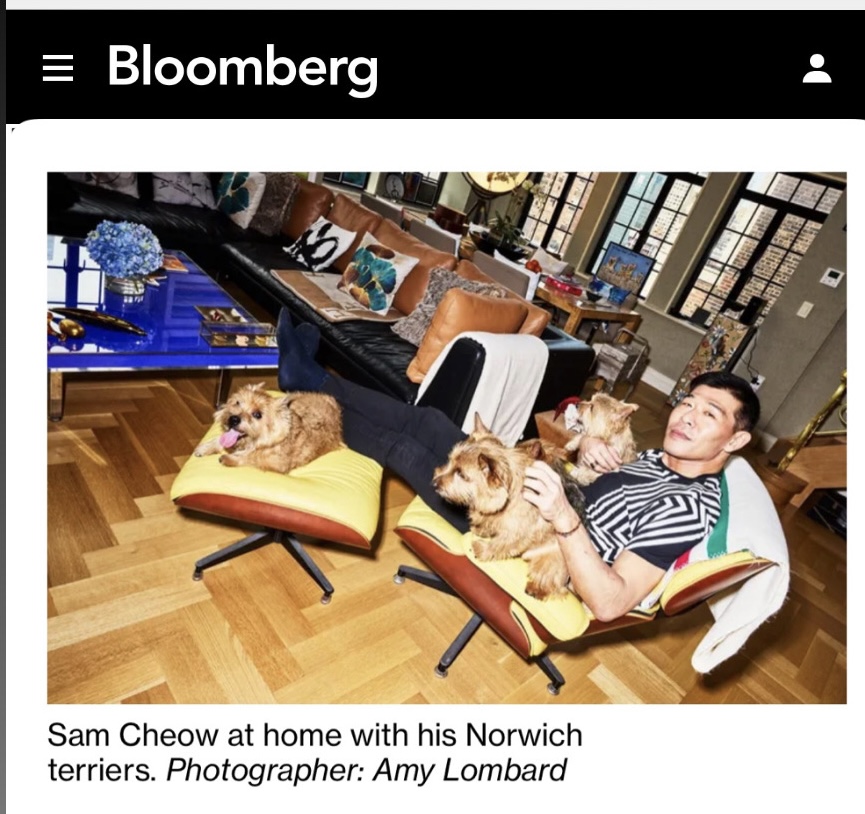 At home with the Quartet, as featured by Bloomberg.