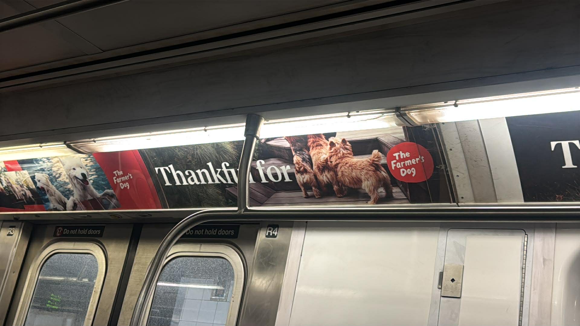 The Quartet featured in The Farmer's Dog advertising campaign displayed inside a New York City subway car